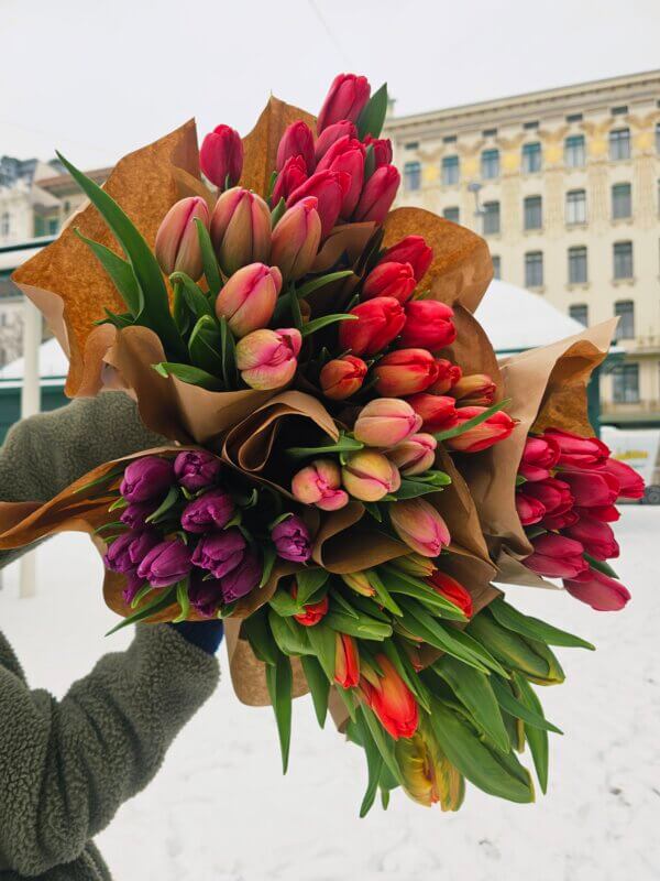 Österreichische Premium Tulpen | 10iger Bund